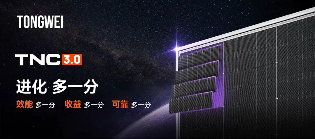 zoty中欧·(中国有限公司)官方网站